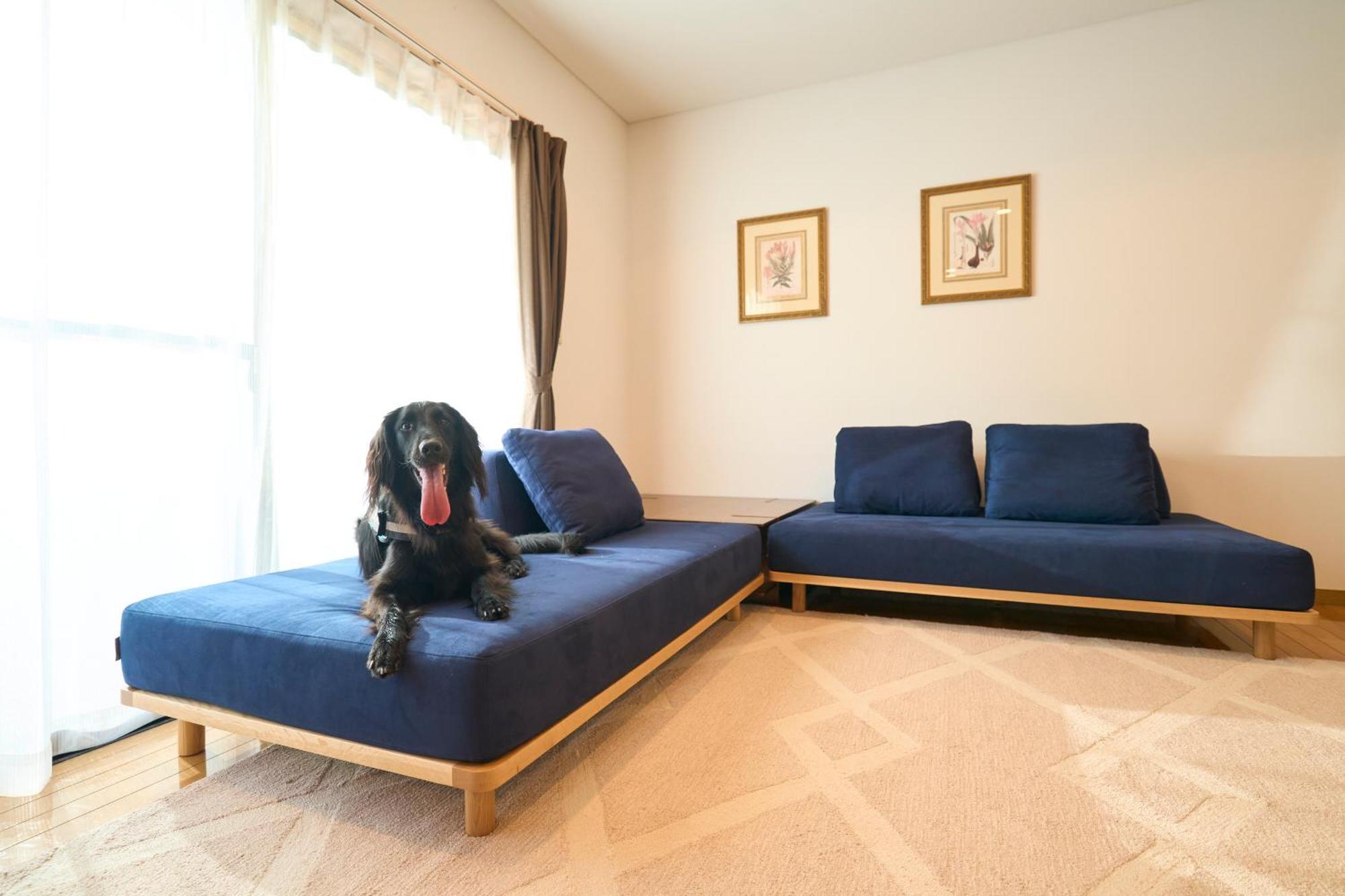 Suite Villa Izukogen Prime Itō Extérieur photo